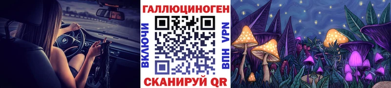 Галлюциногенные грибы Psilocybe где купить наркоту Мончегорск