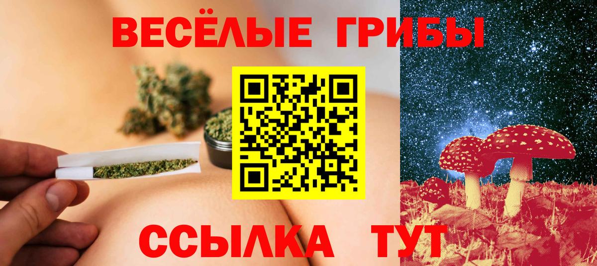Галлюциногенные грибы ЛСД Мончегорск