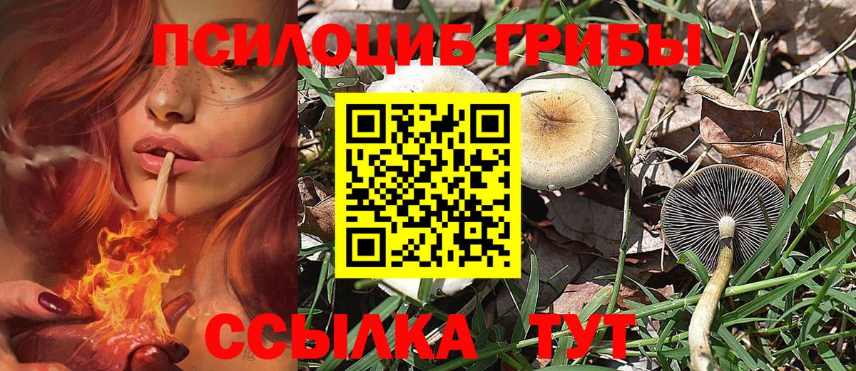 Галлюциногенные грибы GOLDEN TEACHER  Вход с VPN  купить  цена  Псилоцибиновые грибы MAGIC MUSHROOMS  Мончегорск 